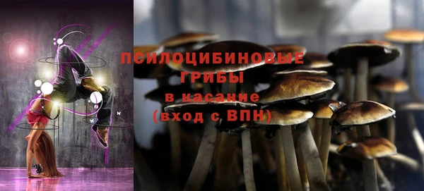 стафф Лабытнанги