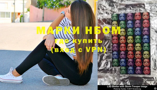 стафф Лабытнанги