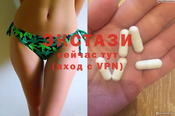 индика Нижний Тагил