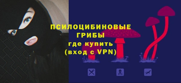 стафф Лабытнанги