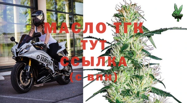 молекула духа Лагань