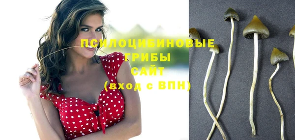 индика Нижний Тагил