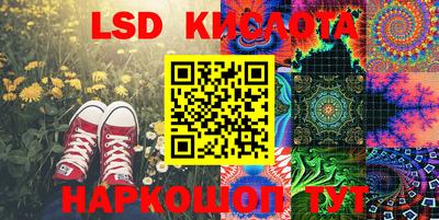 дмт Донской