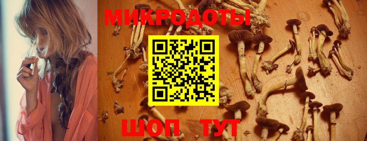 Псилоцибиновые грибы ЛСД Менделеевск