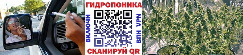 Каннабис VHQ Менделеевск